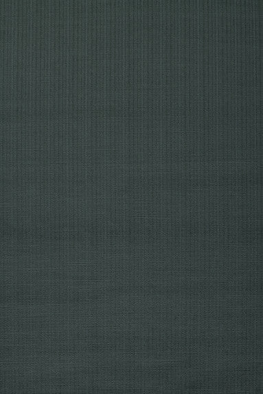 Antique Strie Velvet Charcoal 43057 by Schumacher Fabric Chroma 65% Cotton, 35% Viscose Wyzenbeek 150,000 Horizontal: - and Vertical: - 54 - Fabric Carolina -