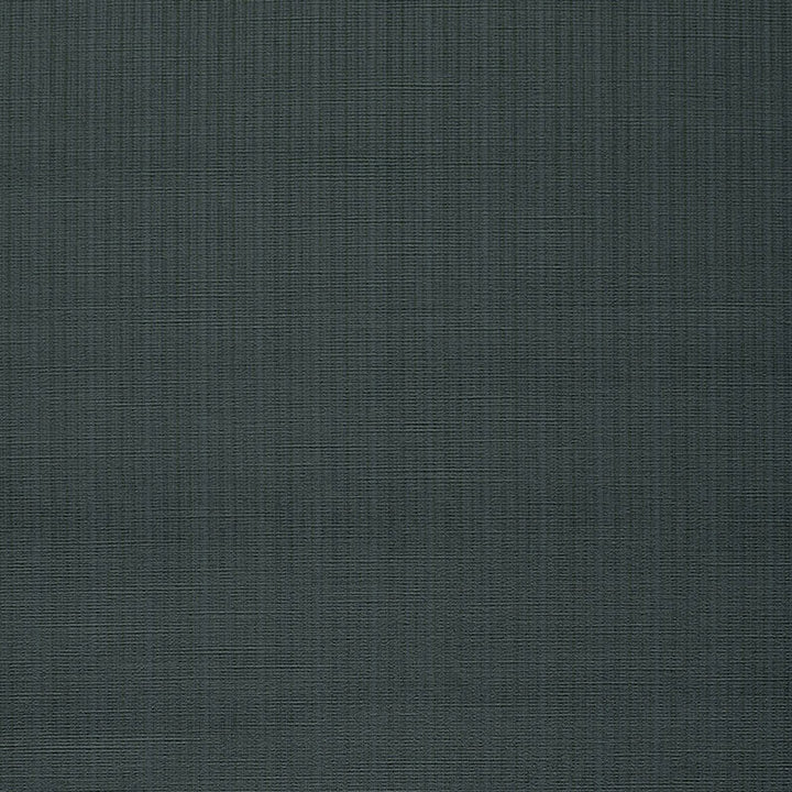 Antique Strie Velvet Charcoal 43057 by Schumacher Fabric CHROMA COTTON 65% VISCOSE RAYON 35% UNITED STATES OF AMERICA WYZENBEEK 150,000 </p><p>Repeat: Horizontal: and Vertical: 54 - Fabric Carolina -