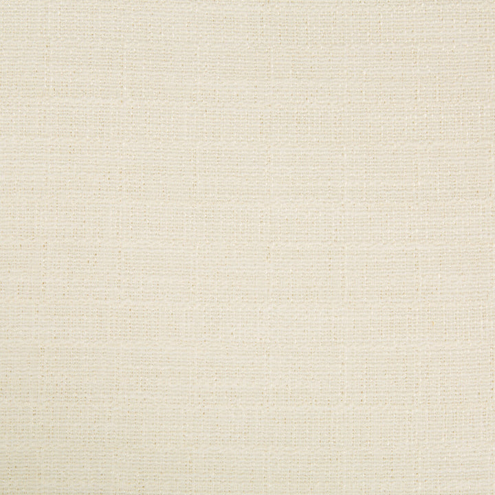 4318-1 by Kravet Basics Fabric POLYESTER - 64%;COTTON - 32%;LINEN - 4% India Horizontal: and Vertical: 54 - Fabric Carolina -