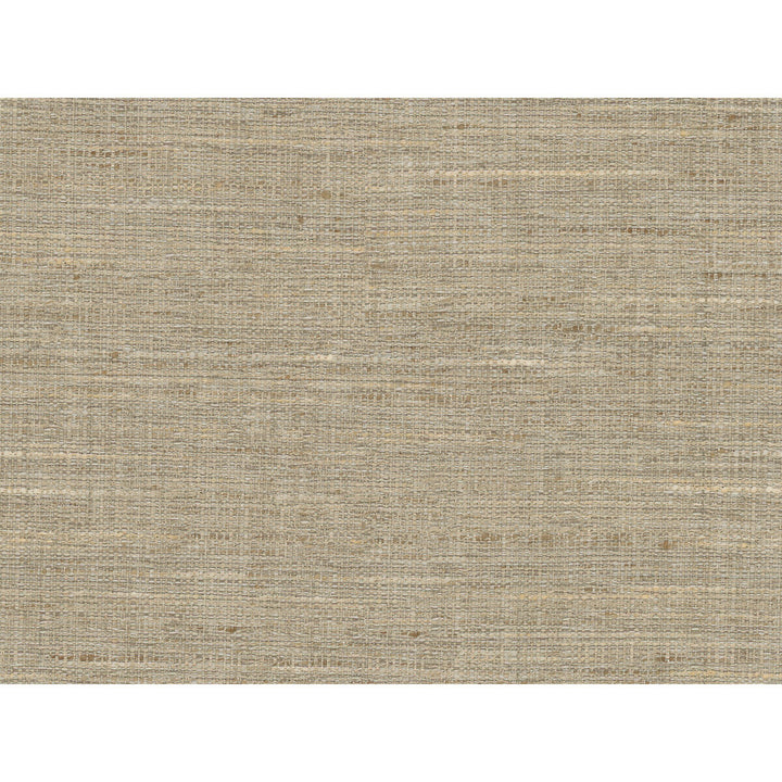 4319-111 by Kravet Basics Fabric - POLYESTER - 100% India - Horizontal: - and Vertical: - 56 - Fabric Carolina -