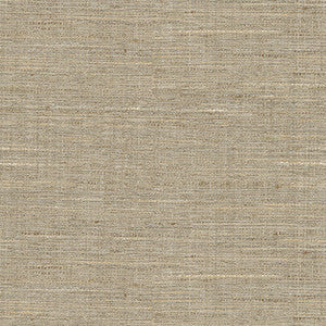 Kravet Basics 4319-111 by Kravet Basics Fabric