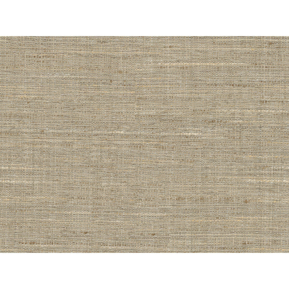 4319-111 by Kravet Basics Fabric - POLYESTER - 100% India - Horizontal: - and Vertical: - 56 - Fabric Carolina -