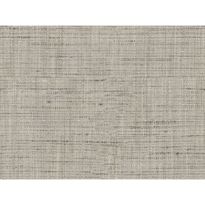 4319-121 by Kravet Basics Fabric - POLYESTER - 100% India - Horizontal: - and Vertical: - 56 - Fabric Carolina -