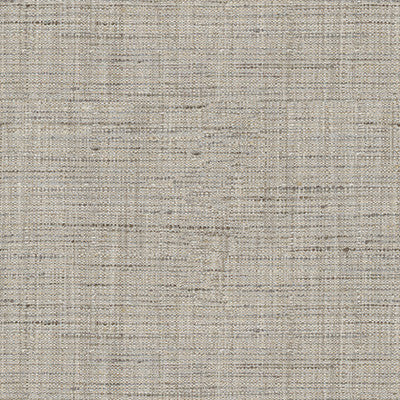 Kravet Basics 4319-121 by Kravet Basics Fabric