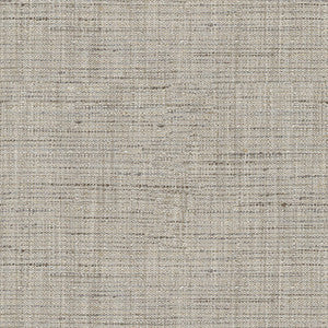 Kravet Basics 4319-121 by Kravet Basics Fabric