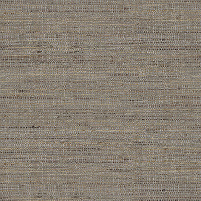 Kravet Basics 4319-21 by Kravet Basics Fabric