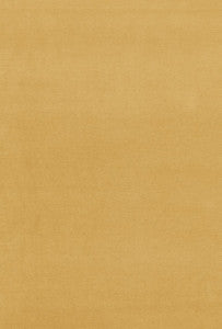 Gainsborough Velvet Sesame 43247 by Schumacher Fabric