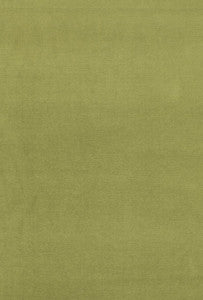 Gainsborough Velvet Palm 43258 by Schumacher Fabric