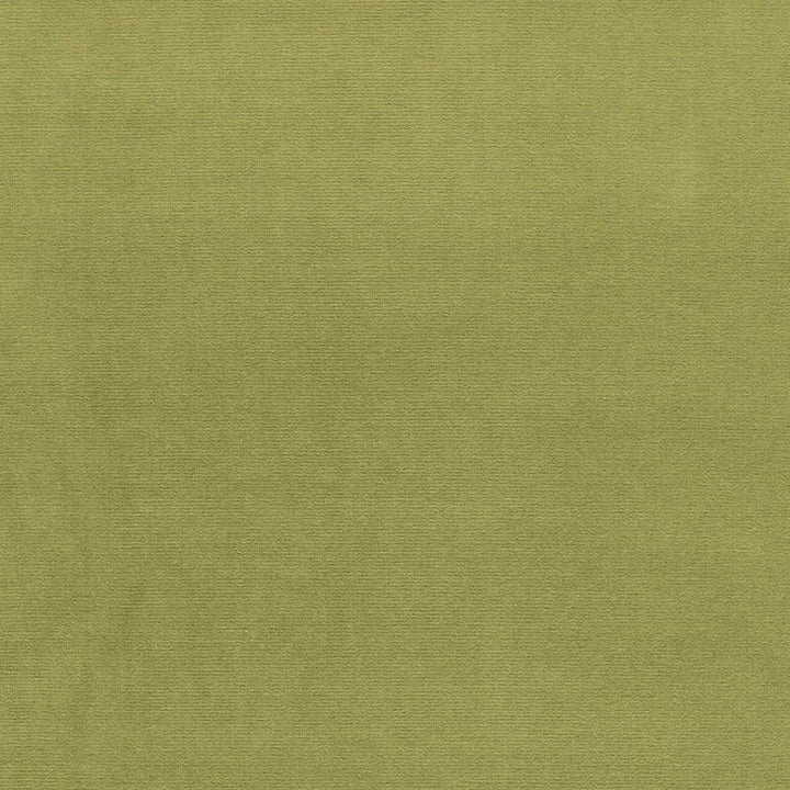 Gainsborough Velvet Palm 43258 by Schumacher Fabric GAINSBOROUGH VELVETS COTTON 100% NETHERLANDS WYZENBEEK 40,000 </p><p>Repeat: Horizontal: and Vertical: 55 - Fabric Carolina -
