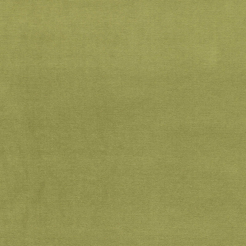 Gainsborough Velvet Palm 43258 by Schumacher Fabric WOVEN FAB VOL XIV See Sample NETHERLANDS HEAVY DUTY </p><p>Repeat: Horizontal: - and Vertical: - 55" WIDE (140CM) - Fabric Carolina -