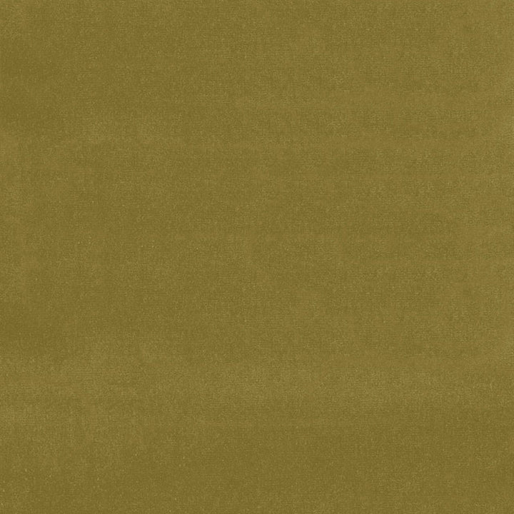 Gainsborough Velvet Sap 43259 by Schumacher Fabric GAINSBOROUGH VELVET COTTON 100% NETHERLANDS WYZENBEEK 40,000 </p><p>Repeat: Horizontal: and Vertical: 55 - Fabric Carolina -