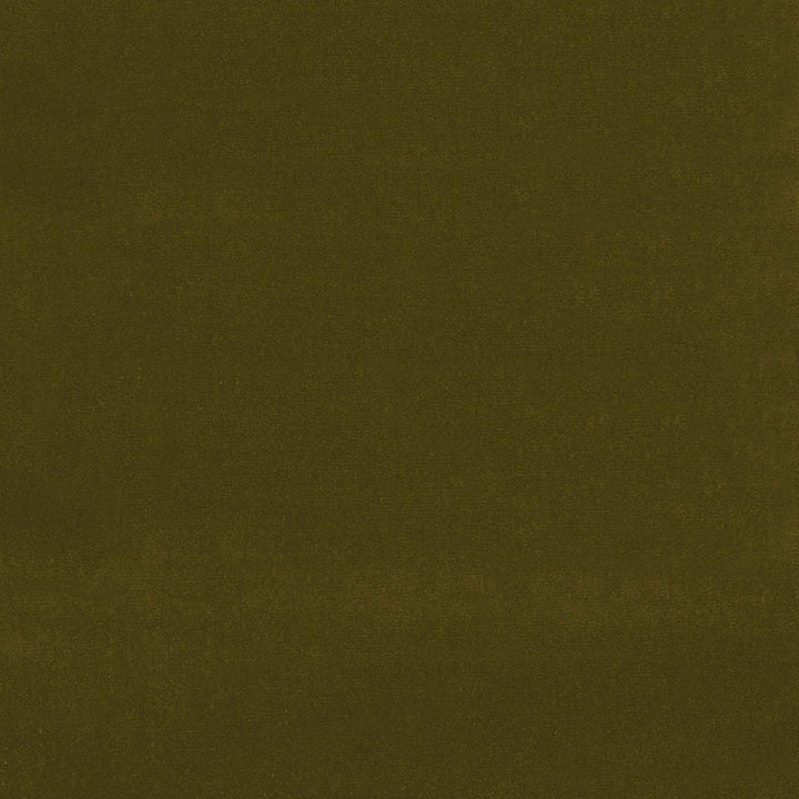 Gainsborough Velvet Mistletoe 43260 by Schumacher Fabric Schumacher Fabric Gainsborough Velvet Mistletoe 43260Fabric COTTON 100% NETHERLANDS </p><p>Repeat: H: , V: 55 - Fabric Carolina -