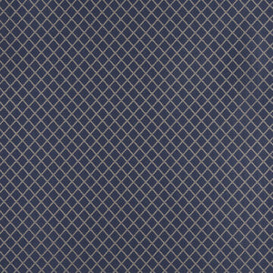 4326 Wedgewood Diamond by Charlotte Fabric