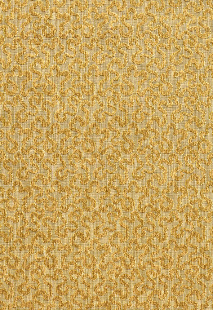 Vermicelli Velvet Naples 43276 by Schumacher Fabric Chroma 100% Cotton Martindale 25,000 Horizontal: 3.375 and Vertical: 4.75 54 - Fabric Carolina -