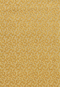 Vermicelli Velvet Naples 43276 by Schumacher Fabric