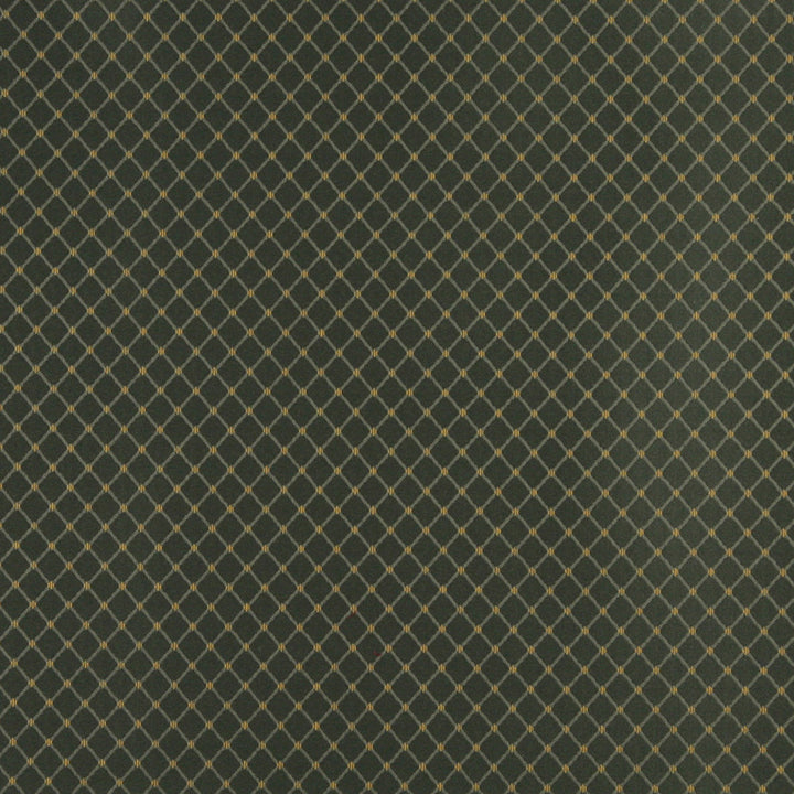 4327 Alpine Diamond by Charlotte Fabric Uptown Jacquards V 55% Cotton, 45% Polyester Asia Exceeds 70,000 Wyzenbeek Rubs (Heavy Duty) Horizontal: 1" x Vertical: 1" 54 Inches - Fabric Carolina -
