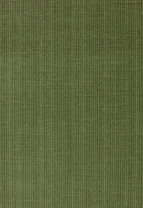 Antique Strie Velvet Grass 43282 by Schumacher Fabric