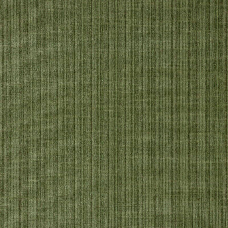 Antique Strie Velvet Grass 43282 by Schumacher Fabric PERFECT BASICS See Sample UNITED STATES OF AMERICA HEAVY DUTY </p><p>Repeat: Horizontal: - and Vertical: - 54" WIDE (137CM) - Fabric Carolina -
