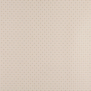 4329 Ecru Diamond by Charlotte Fabric