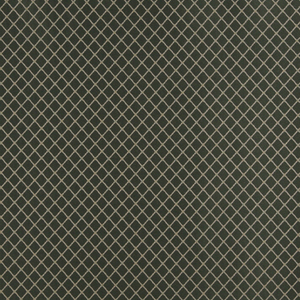 4335 Juniper Diamond by Charlotte Fabric Uptown Jacquards V 55% Cotton, 45% Polyester Asia Exceeds 96,000 Wyzenbeek Rubs (Heavy Duty) </p><p>Repeat: Horizontal: 1" x Vertical: 1" 54 Inches - Fabric Carolina -