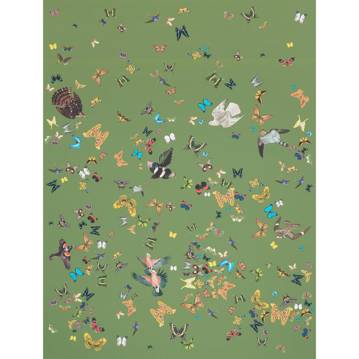 Queen'S Flight Green 5010860 by Schumacher Wallpaper Peg Norriss 108.0" - Fabric Carolina -