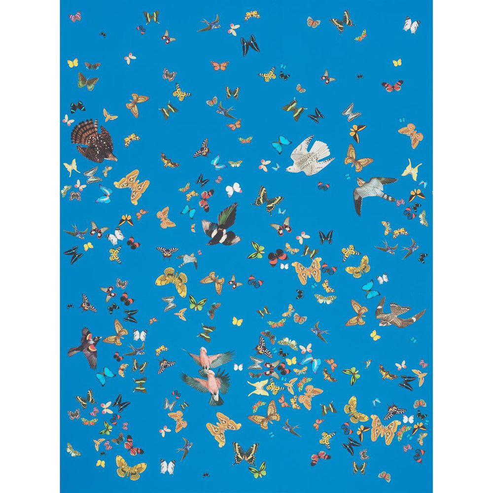 Queen'S Flight Royal Blue 5010861 by Schumacher Wallpaper Peg Norriss 108.0" - Fabric Carolina -