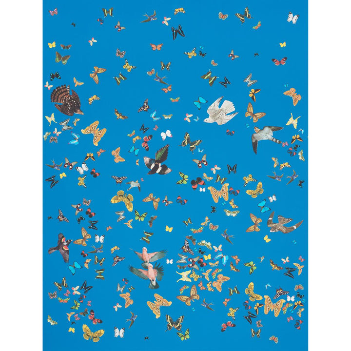 Queen'S Flight Royal Blue 5010861 by Schumacher Wallpaper Peg Norriss 108.0" - Fabric Carolina -