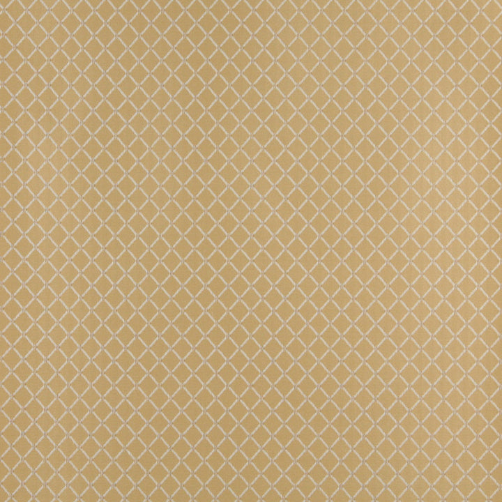 4336 Flax Diamond by Charlotte Fabric Uptown Jacquards V 55% Cotton, 45% Polyester Asia Exceeds 96,000 Wyzenbeek Rubs (Heavy Duty) </p><p>Repeat: Horizontal: 1" x Vertical: 1" 54 Inches - Fabric Carolina -