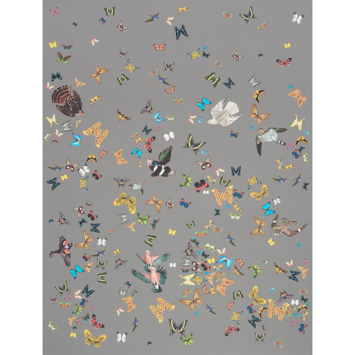 Queen'S Flight Grey 5010862 by Schumacher Wallpaper Peg Norriss 108.0" - Fabric Carolina -