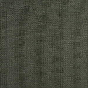 4340 Alpine by Charlotte Fabric