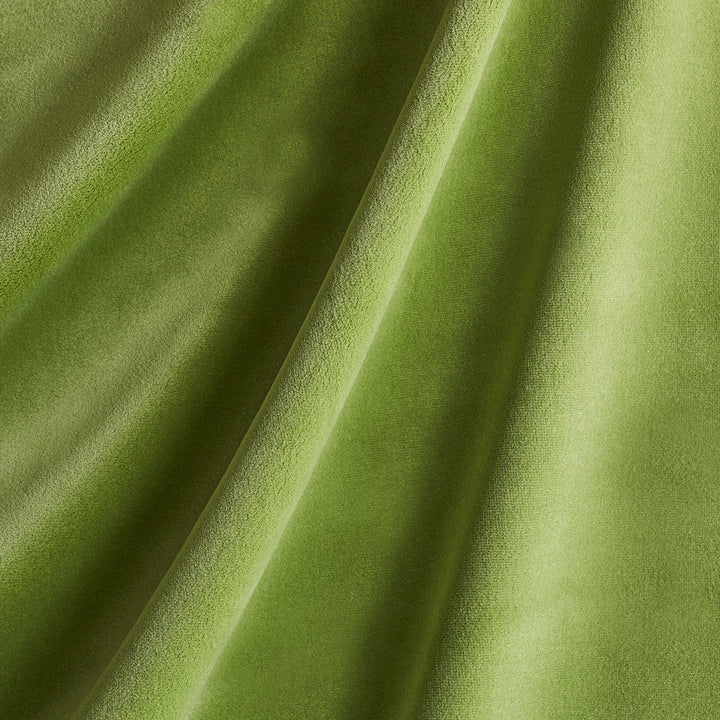 Cotton Club Velvet Sage 43424 by Schumacher Fabric Schumacher Fabric Cotton Club Velvet Sage 43424Fabric COTTON 100% ITALY </p><p>Repeat: H: , V: 55 - Fabric Carolina -