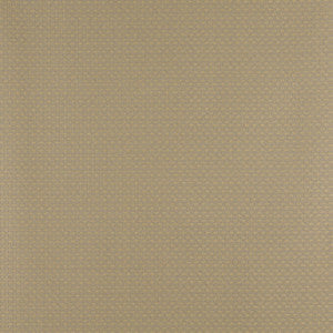 4343 Chambray by Charlotte Fabric