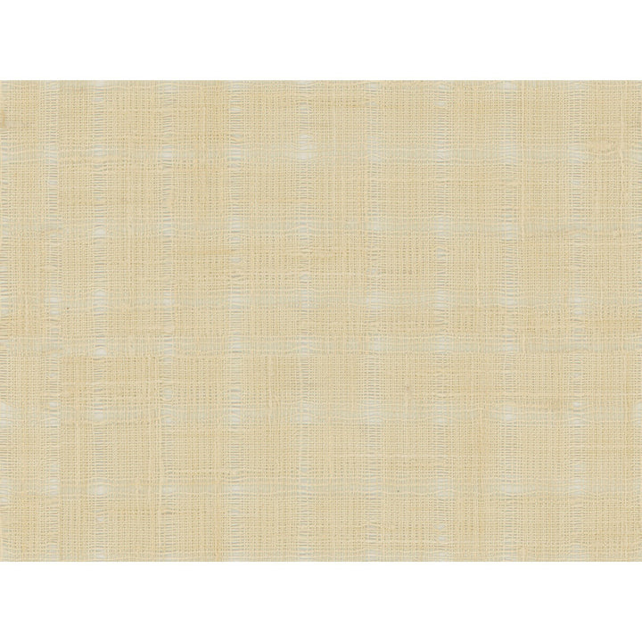 4344-116 by Kravet Basics Fabric POLYESTER - 100% India Horizontal: 0.7 and Vertical: 0.7 56 - Fabric Carolina -