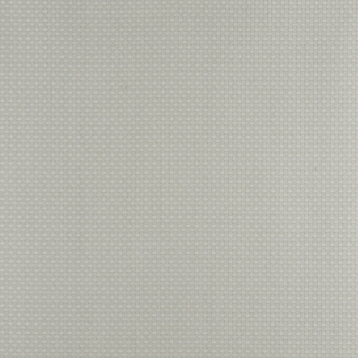 4344 Spring by Charlotte Fabric Uptown Jacquards V 55% Cotton, 45% Polyester Asia Exceeds 90,000 Wyzenbeek Rubs (Heavy Duty) </p><p>Repeat: Horizontal: .5" x Vertical: .5" 54 Inches - Fabric Carolina -