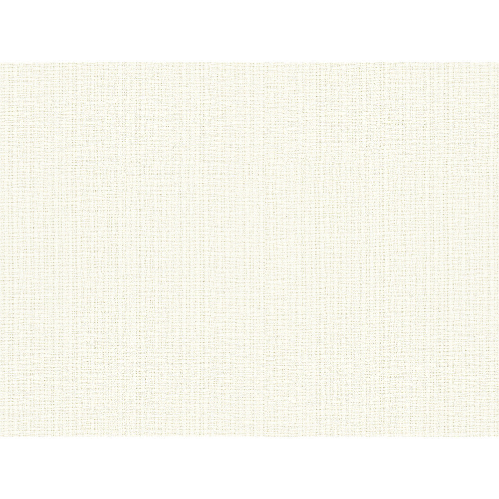 4346-1 by Kravet Basics Fabric - POLYESTER - 100% India - Horizontal: 0 and Vertical: 0 54 - Fabric Carolina -