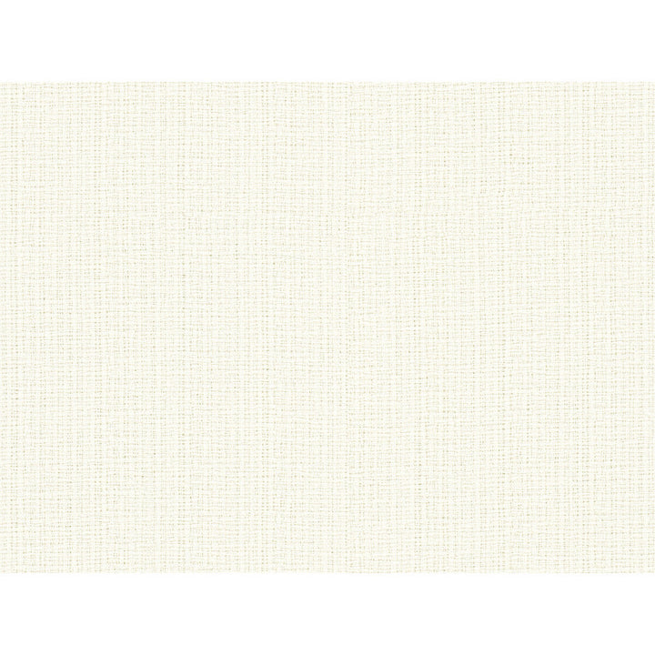 4346-1 by Kravet Basics Fabric - POLYESTER - 100% India - Horizontal: 0 and Vertical: 0 54 - Fabric Carolina -