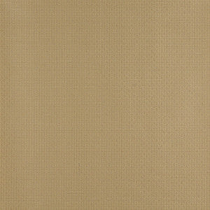 4346 Harvest by Charlotte Fabric