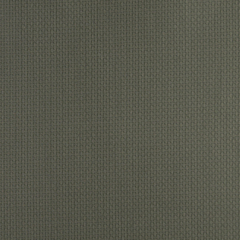 4348 Juniper by Charlotte Fabric Uptown Jacquards V 55% Cotton, 45% Polyester Asia Exceeds 70,000 Wyzenbeek Rubs (Heavy Duty) Horizontal: .5" x Vertical: .5" 54 Inches - Fabric Carolina -