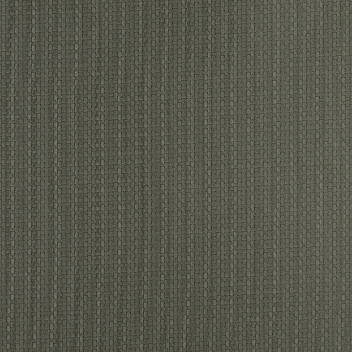 4348 Juniper by Charlotte Fabric Uptown Jacquards V 55% Cotton, 45% Polyester Asia Exceeds 70,000 Wyzenbeek Rubs (Heavy Duty) Horizontal: .5" x Vertical: .5" 54 Inches - Fabric Carolina -