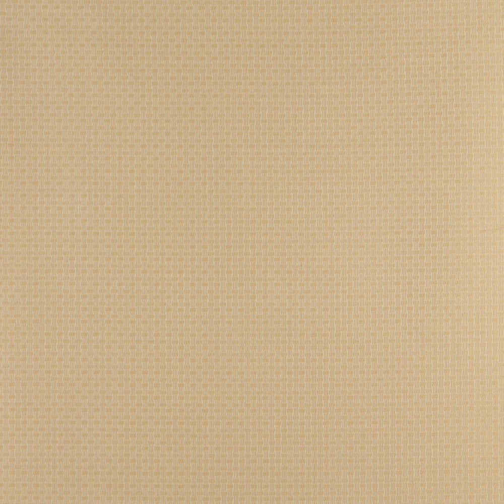 4349 Flax by Charlotte Fabric Uptown Jacquards V 55% Cotton, 45% Polyester Asia Exceeds 70,000 Wyzenbeek Rubs (Heavy Duty) Horizontal: .5" x Vertical: .5" 54 Inches - Fabric Carolina -