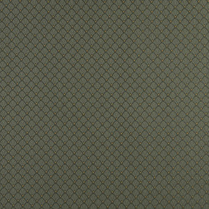 4353 Alpine Shell by Charlotte Fabric
