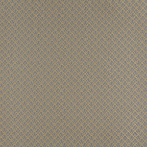 4356 Chambray Shell by Charlotte Fabric