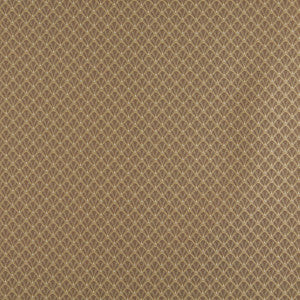 4359 Harvest Shell by Charlotte Fabric