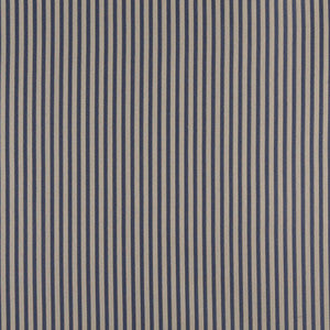 4365 Wedgewood Stripe by Charlotte Fabric