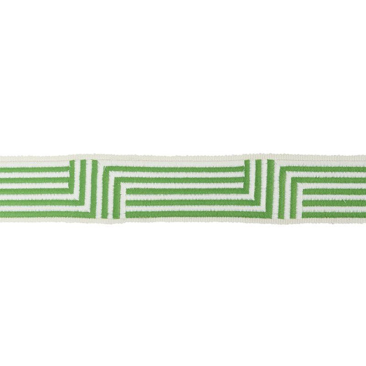 Osilas Tape Green 77472 by Schumacher Designer Trim Statement Trims - Swanky Fabrics -