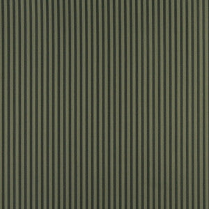 4366 Alpine Stripe by Charlotte Fabric