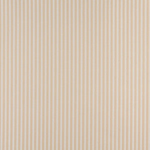 4368 Ecru Stripe by Charlotte Fabric