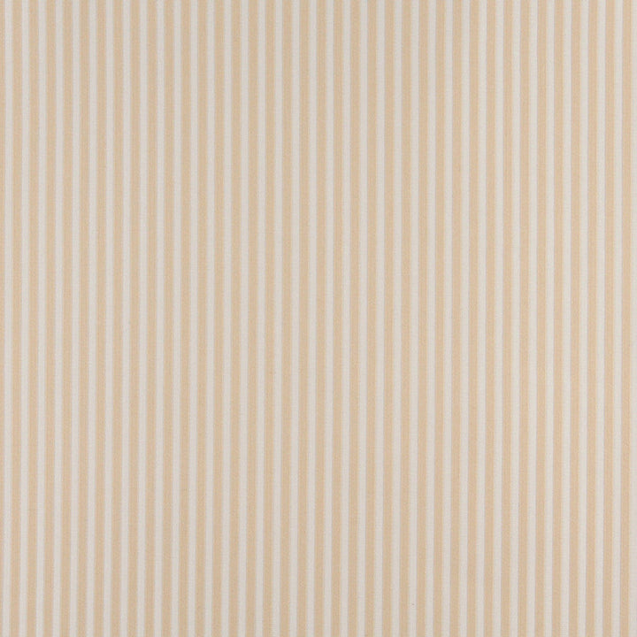 4368 Ecru Stripe by Charlotte Designer Fabric Uptown Jacquards V, Ring Book Page #40A 55% Cotton, 45% Polyester Asia Exceeds 70,000 Wyzenbeek Rubs (Heavy Duty) Horizontal: .5" 54 Inches - Swanky Fabrics -