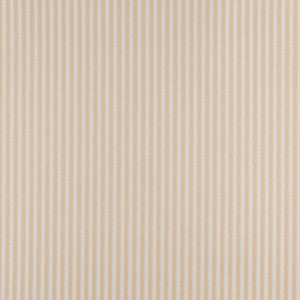 4368 Ecru Stripe by Charlotte Fabric
