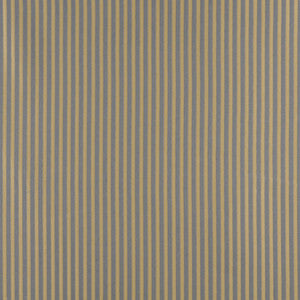 4369 Chambray Stripe by Charlotte Fabric